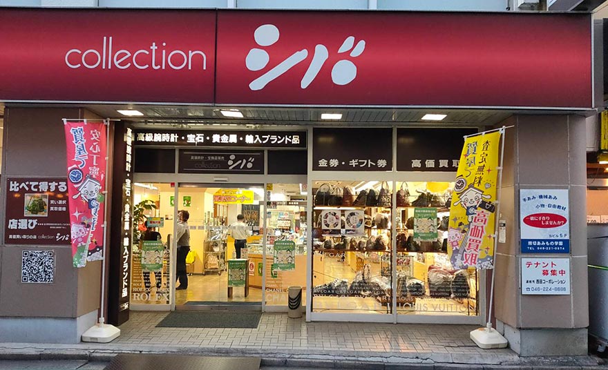 コレクションシバ